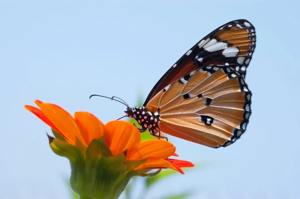 AP SSC 10th Class Biology Bits 7th Chapter Telugu Medium